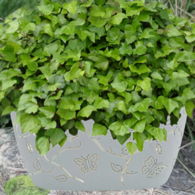 LF101510025 Цветочный горшок Butterflies 4 л 300х150 мм овальный, жемчужно-серый, PLASTIC REPUBLIC